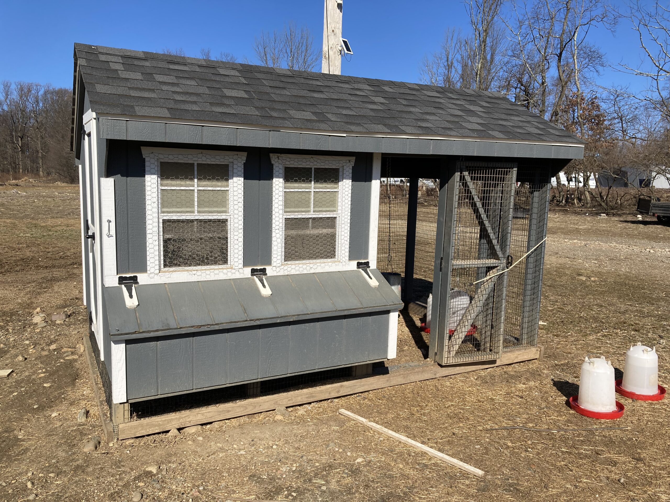 Monty Chicken Coup (1)
